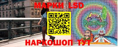 индика Кинель