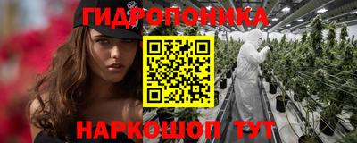 индика Кинель