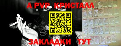 индика Кинель