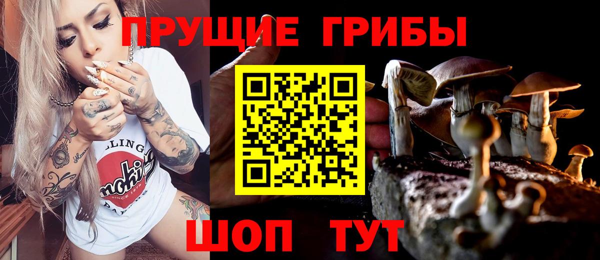 Псилоцибиновые грибы мухоморы Кудрово